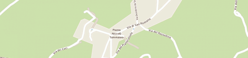 Mappa della impresa brunori adolfo a FIRENZE