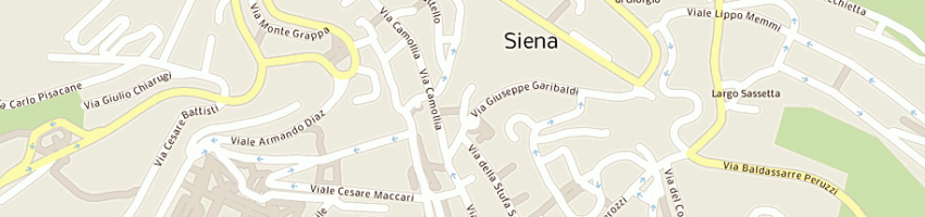 Mappa della impresa autoscuola record a SIENA