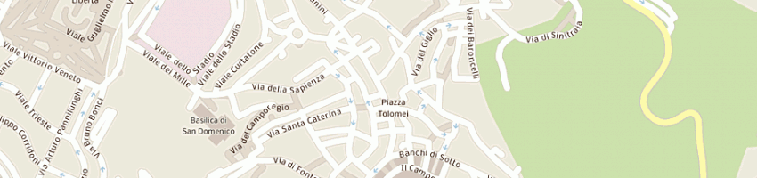 Mappa della impresa salmoiraghi e vigano' spa a SIENA