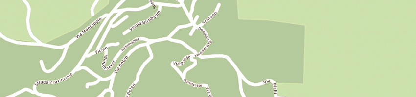 Mappa della impresa wenter franz e c snc a SAN GENESIO ATESINO