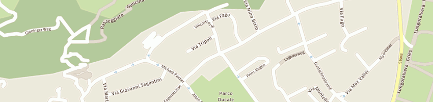 Mappa della impresa salone renzo a BOLZANO