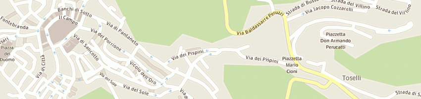 Mappa della impresa ciampolini simona a SIENA