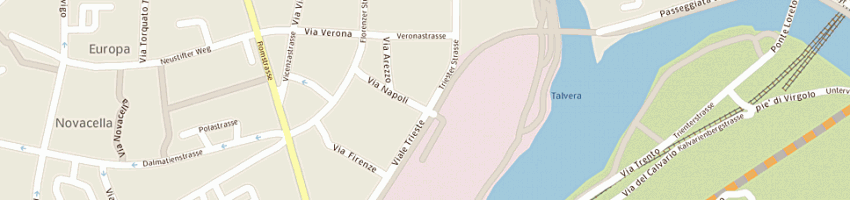 Mappa della impresa electronic service (sas) a BOLZANO