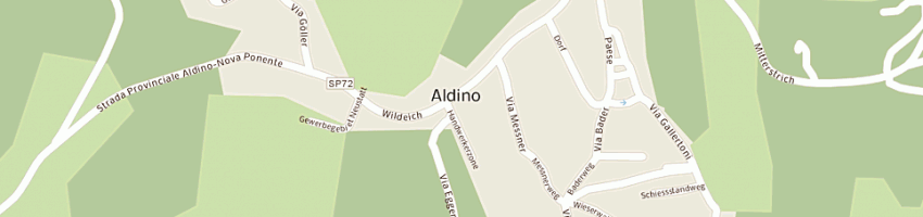Mappa della impresa daldoss richard a ALDINO