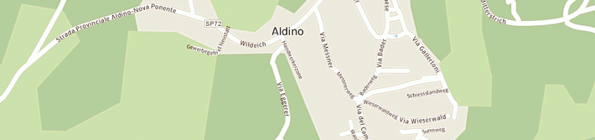 Mappa della impresa gruber alexander a ALDINO