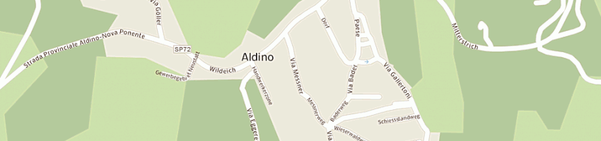 Mappa della impresa pitschl paul a ALDINO