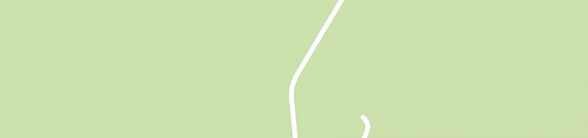 Mappa della impresa gonnelli remo a SCANSANO