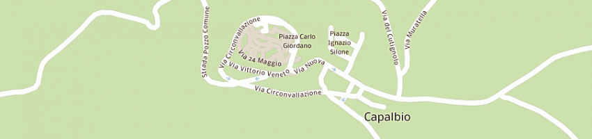 Mappa della impresa snc tullio di sassi gaspare e c a CAPALBIO