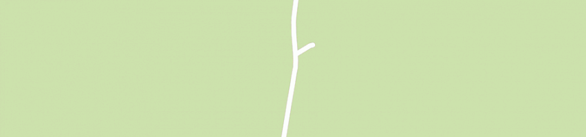 Mappa della impresa serafini franca a CASTAGNARO