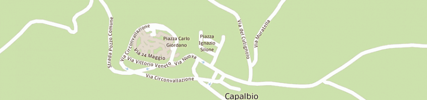 Mappa della impresa calvisi leonida a CAPALBIO