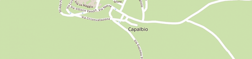 Mappa della impresa nannoni bus di nannoni virgilio a CAPALBIO