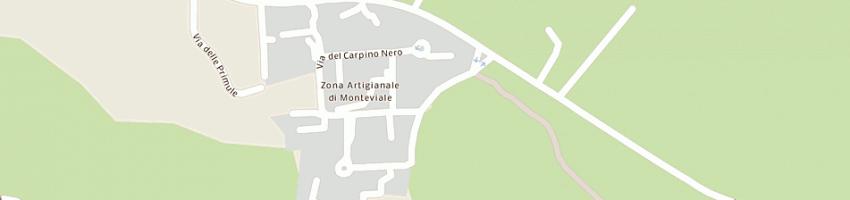 Mappa della impresa cam srl a MONTEVIALE