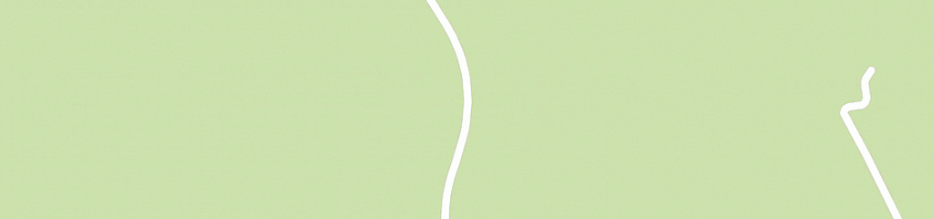 Mappa della impresa stefani (srl) a MIRABELLO
