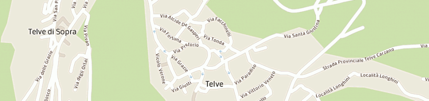 Mappa della impresa gayemi srl a TELVE