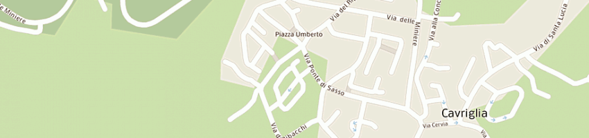 Mappa della impresa tilli paolo a CAVRIGLIA