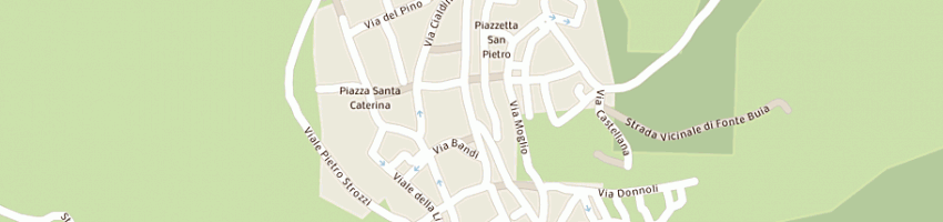 Mappa della impresa caffe' fiaschettiera di tognazzi ge guerrini m snc a MONTALCINO