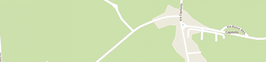 Mappa della impresa omnibus sas di rossetto daniele e c a MEGLIADINO SAN VITALE