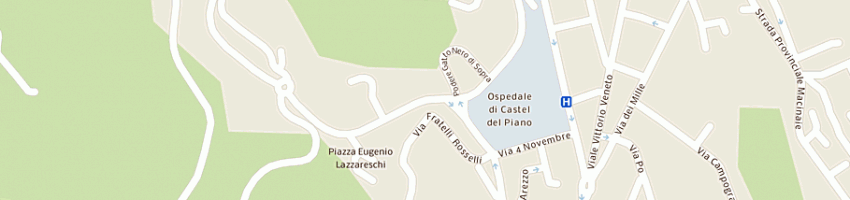 Mappa della impresa ceccarelli mario a CASTEL DEL PIANO