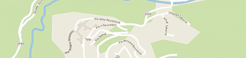 Mappa della impresa boninsegni fratelli (snc) a REGGELLO