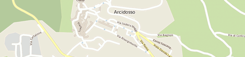 Mappa della impresa bar flash a ARCIDOSSO