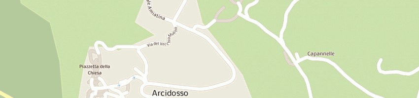 Mappa della impresa servizi e consulenze assicurative di carlo raffi e c sas a ARCIDOSSO