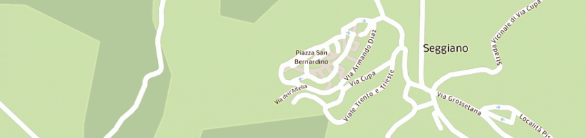 Mappa della impresa poste italiane spa a SEGGIANO