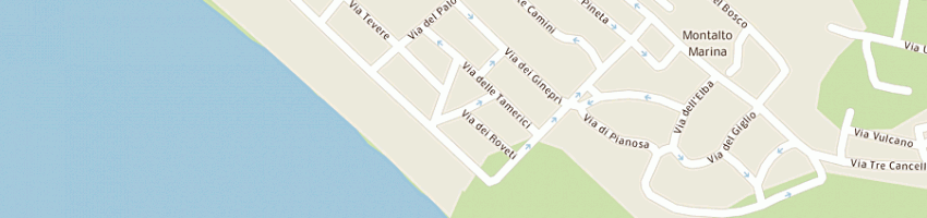 Mappa della impresa brizi palmira a MONTALTO DI CASTRO