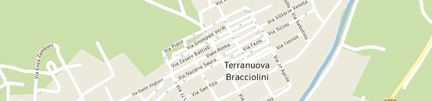 Mappa della impresa banca monte dei paschi di siena spa a TERRANUOVA BRACCIOLINI