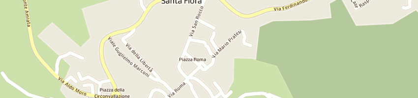 Mappa della impresa comunita'montana del monte amiata zona 'i 1' area grossetana a SANTA FIORA