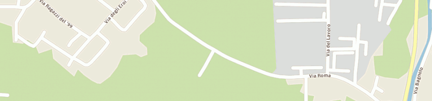 Mappa della impresa callegaro saldatura srl a CASTEGNERO