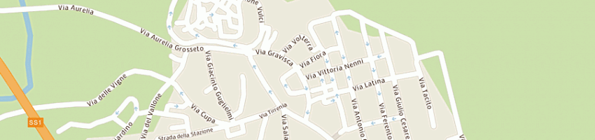 Mappa della impresa copi uno sas di pierini laura e c a MONTALTO DI CASTRO