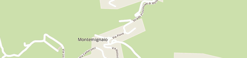 Mappa della impresa serrai fulvio a MONTEMIGNAIO