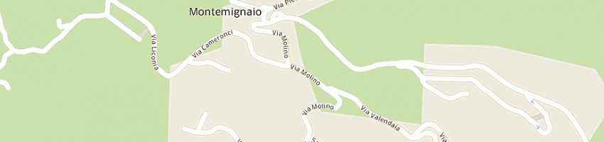 Mappa della impresa nocentini riccardo a MONTEMIGNAIO