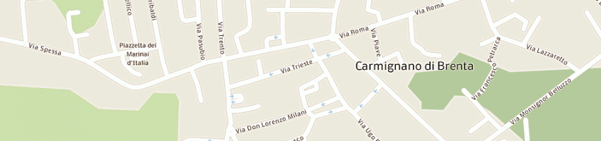 Mappa della impresa procidano marina a CARMIGNANO DI BRENTA