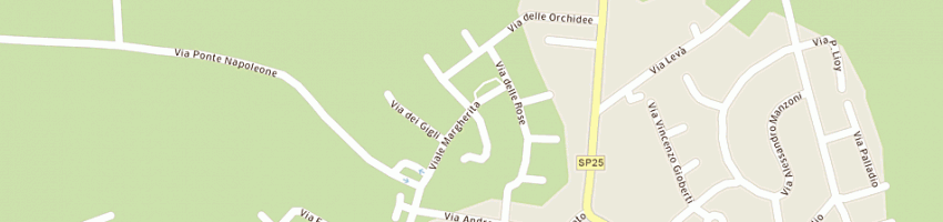 Mappa della impresa centro medico riabilitativo srl a CAMISANO VICENTINO