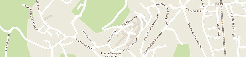 Mappa della impresa pelacchi annunziata a SINALUNGA