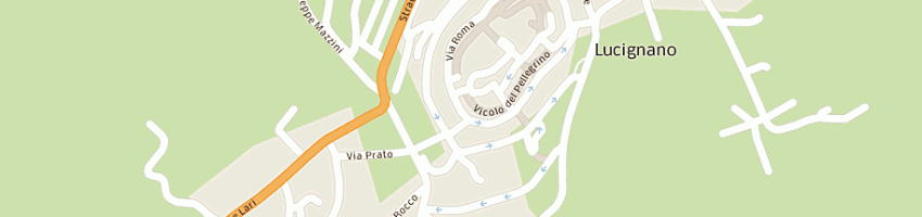 Mappa della impresa amidei donella a LUCIGNANO
