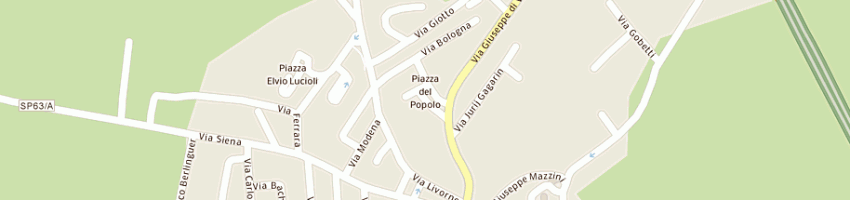 Mappa della impresa fiorgarden di picchiotti ilenia a SINALUNGA