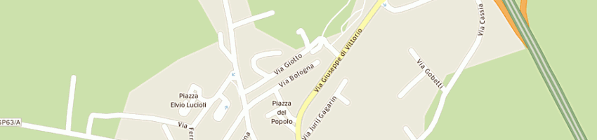Mappa della impresa amerighi letizia a SINALUNGA