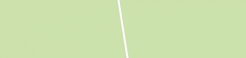 Mappa della impresa municipio a BOARA PISANI