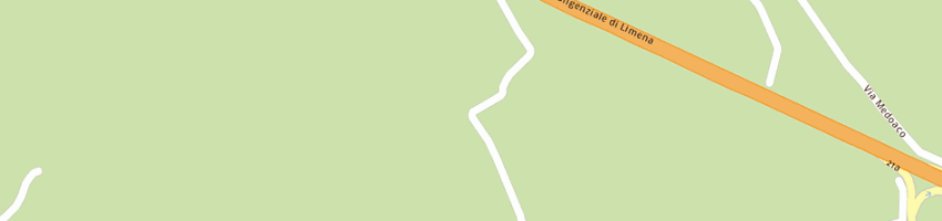 Mappa della impresa baseggio aldo (srl) a LIMENA