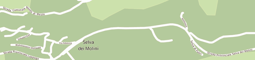 Mappa della impresa bar sport a SELVA DEI MOLINI