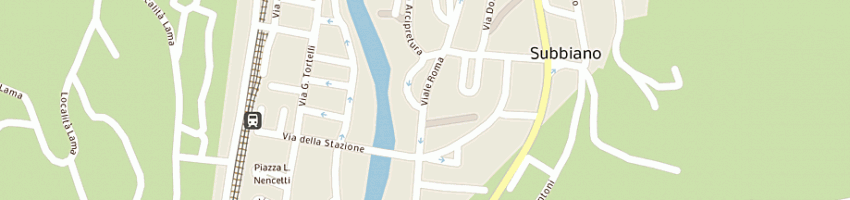 Mappa della impresa 'fioreria via roma n33-a snc di caneschi manila e chiara' a SUBBIANO