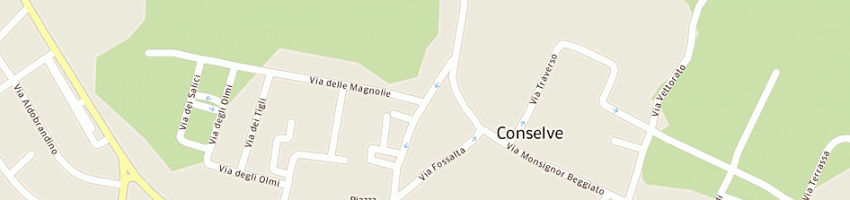 Mappa della impresa pluriel srl a CONSELVE