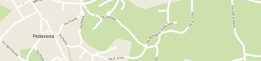 Mappa della impresa cecchet elvio a PEDAVENA