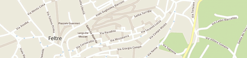 Mappa della impresa banca monte dei paschi di siena spa a FELTRE
