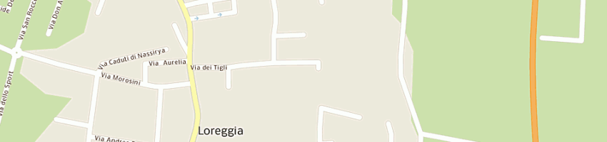 Mappa della impresa tiflosystem spa a LOREGGIA