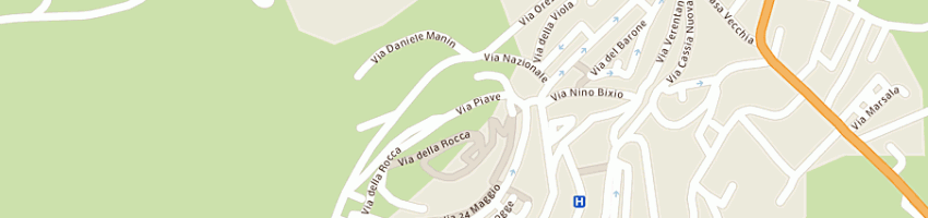 Mappa della impresa selvaggini silvia a MONTEFIASCONE