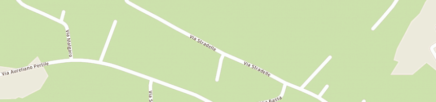 Mappa della impresa borella olivo a STRA 