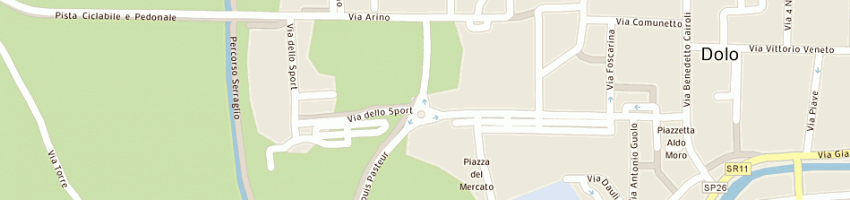 Mappa della impresa rizzo servizi di carraro gianluca e c sas a DOLO